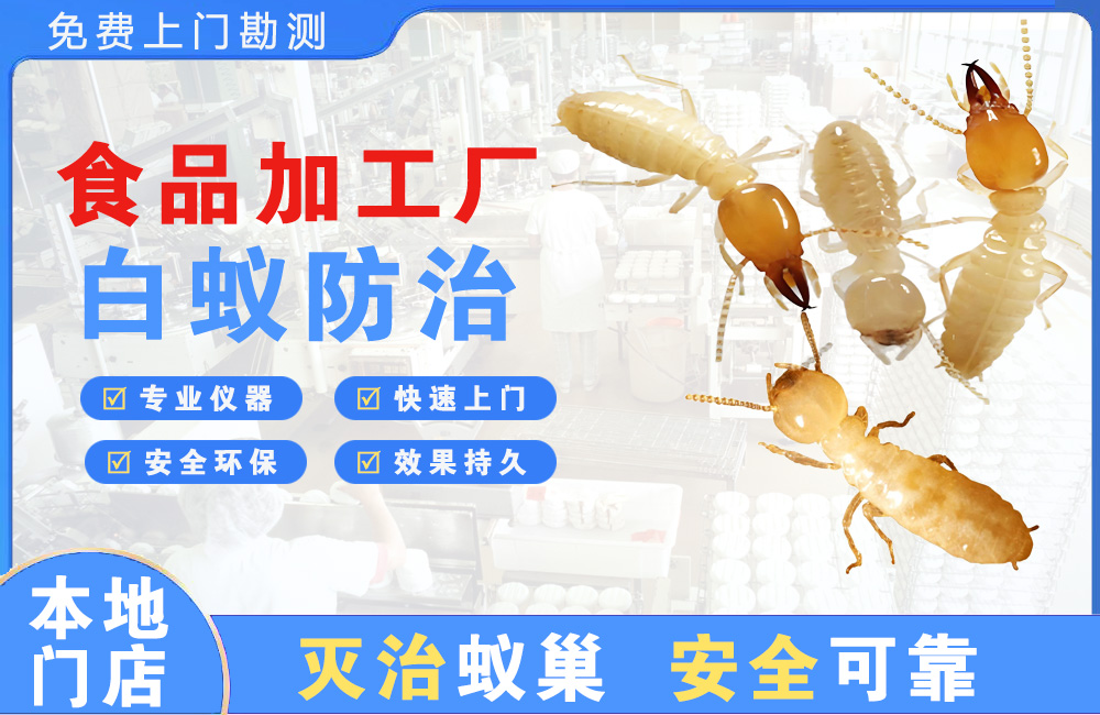 万宁食品加工厂白蚁防治
