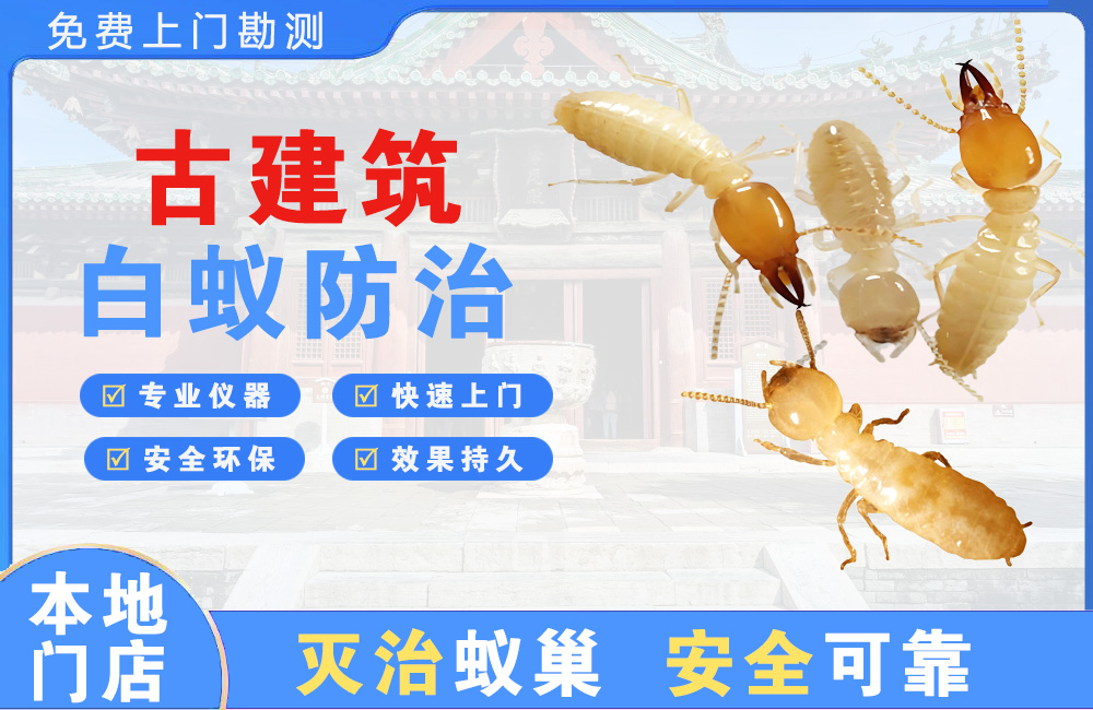 万宁古建筑白蚁防治