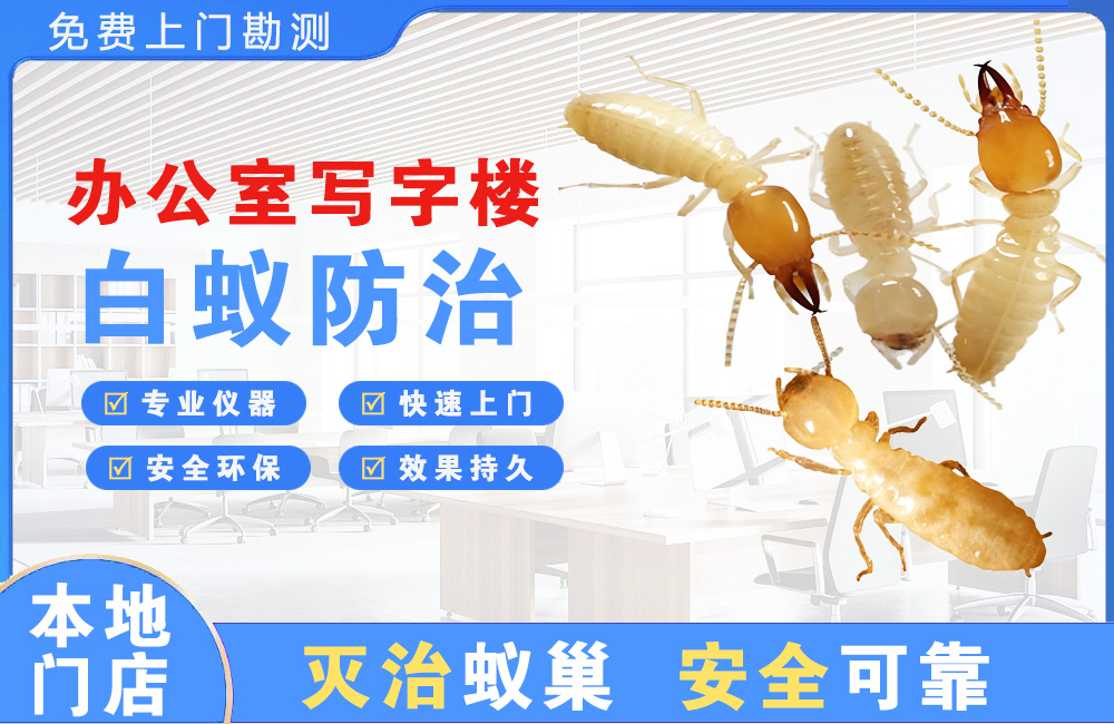 万宁办公室写字楼白蚁防治